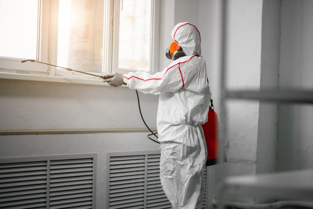 Professional mold remediation services in Burnet, TX